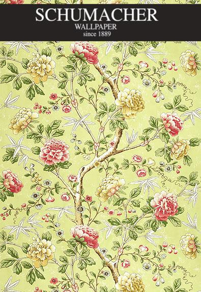 Authorized Dealer of 5004212 by Schumacher Wallpaper at Designer Wallpapers and Fabrics, Your online resource since 2007