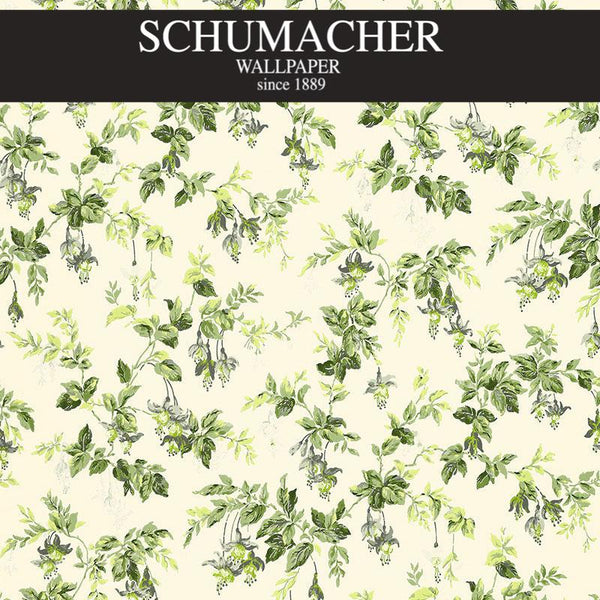Authorized Dealer of 5004341 by Schumacher Wallpaper at Designer Wallpapers and Fabrics, Your online resource since 2007
