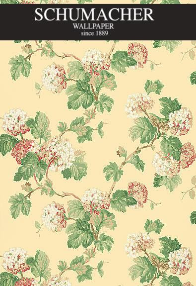 Authorized Dealer of 5004371 by Schumacher Wallpaper at Designer Wallpapers and Fabrics, Your online resource since 2007