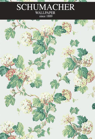 Authorized Dealer of 5004373 by Schumacher Wallpaper at Designer Wallpapers and Fabrics, Your online resource since 2007