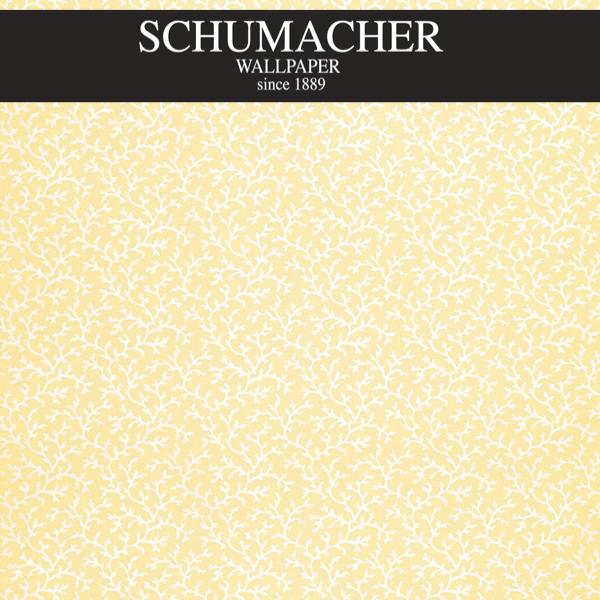Authorized Dealer of 5004411 by Schumacher Wallpaper at Designer Wallpapers and Fabrics, Your online resource since 2007