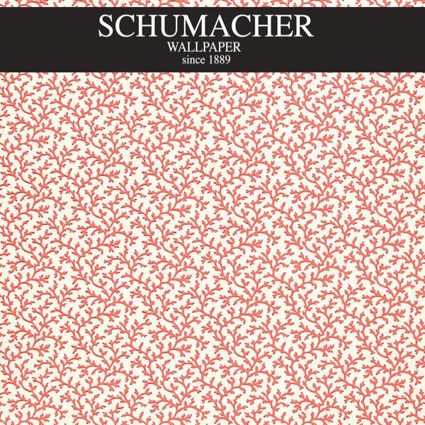 Authorized Dealer of 5004415 by Schumacher Wallpaper at Designer Wallpapers and Fabrics, Your online resource since 2007