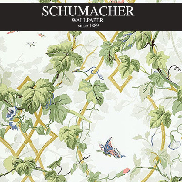 Authorized Dealer of 5004491 by Schumacher Wallpaper at Designer Wallpapers and Fabrics, Your online resource since 2007