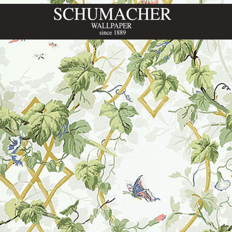 Authorized Dealer of 5004491 by Schumacher Wallpaper at Designer Wallpapers and Fabrics, Your online resource since 2007
