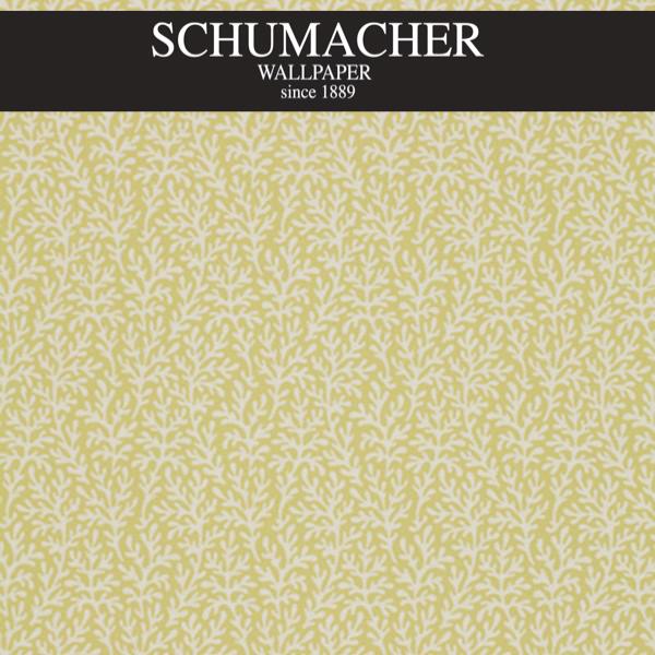 Authorized Dealer of 5004732 by Schumacher Wallpaper at Designer Wallpapers and Fabrics, Your online resource since 2007
