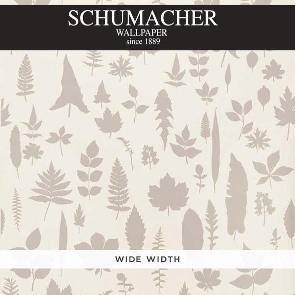 Authorized Dealer of 5005020 by Schumacher Wallpaper at Designer Wallpapers and Fabrics, Your online resource since 2007