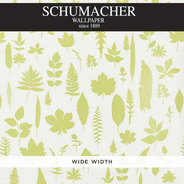 Authorized Dealer of 5005021 by Schumacher Wallpaper at Designer Wallpapers and Fabrics, Your online resource since 2007