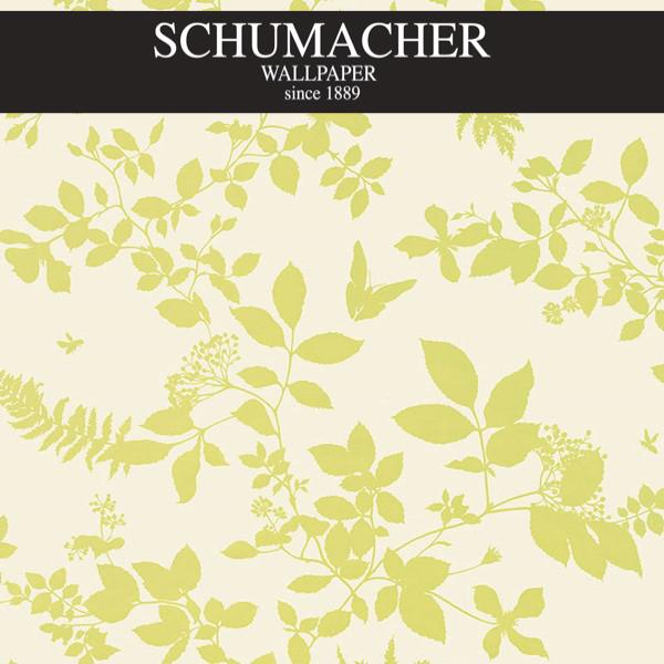 Authorized Dealer of 5005102 by Schumacher Wallpaper at Designer Wallpapers and Fabrics, Your online resource since 2007