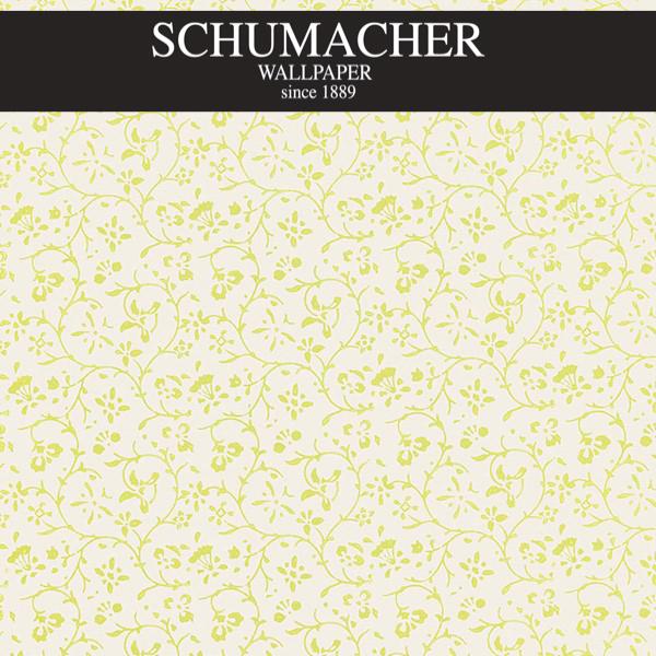 Authorized Dealer of 5005262 by Schumacher Wallpaper at Designer Wallpapers and Fabrics, Your online resource since 2007