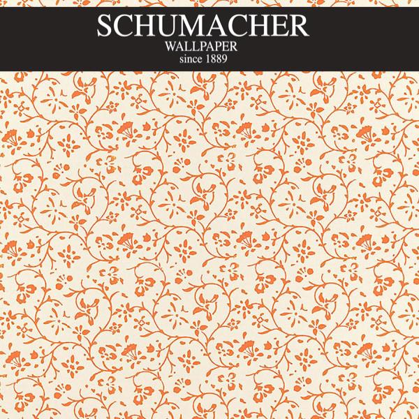 Authorized Dealer of 5005263 by Schumacher Wallpaper at Designer Wallpapers and Fabrics, Your online resource since 2007