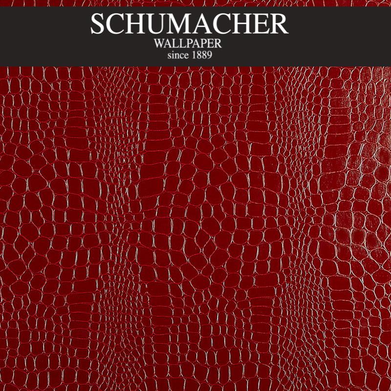 Authorized Dealer of 5005831 by Schumacher Wallpaper at Designer Wallpapers and Fabrics, Your online resource since 2007