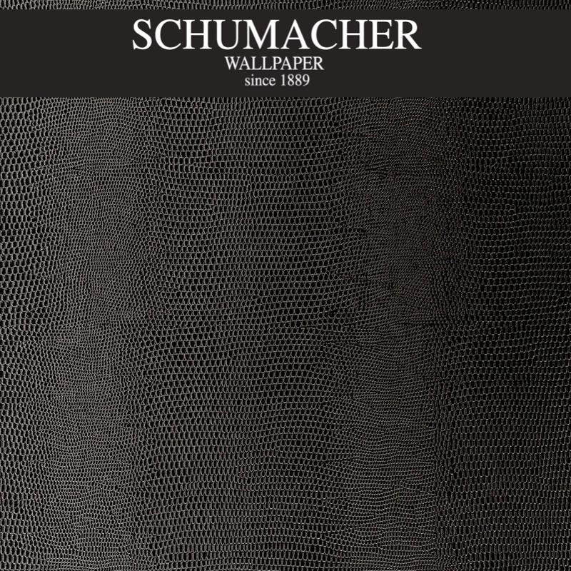 Authorized Dealer of 5005841 by Schumacher Wallpaper at Designer Wallpapers and Fabrics, Your online resource since 2007