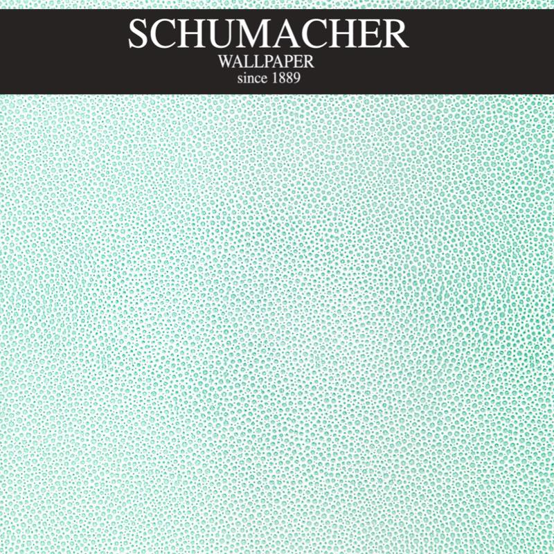 Authorized Dealer of 5005851 by Schumacher Wallpaper at Designer Wallpapers and Fabrics, Your online resource since 2007