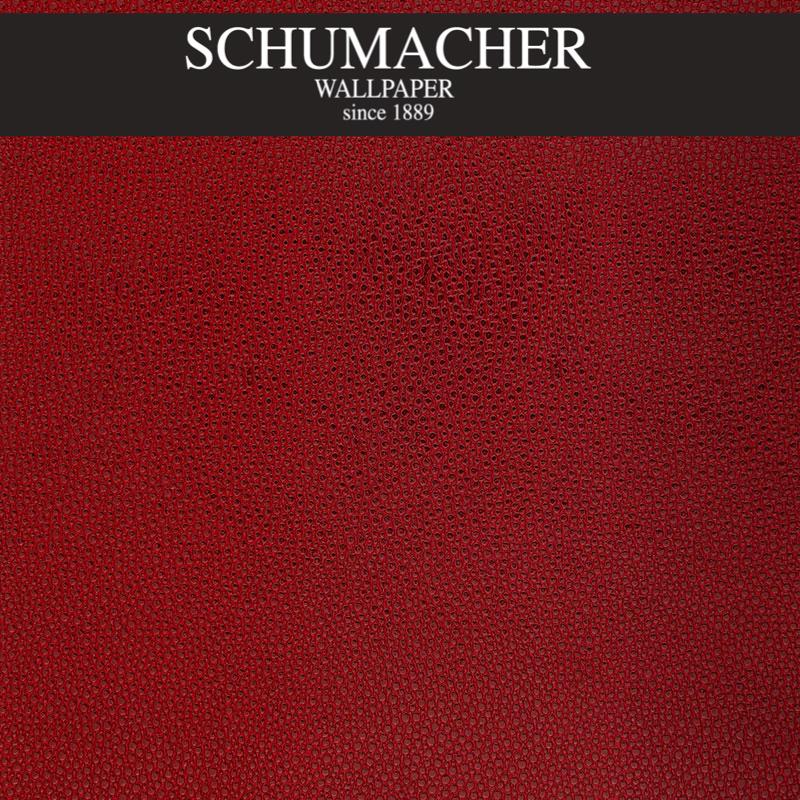 Authorized Dealer of 5005853 by Schumacher Wallpaper at Designer Wallpapers and Fabrics, Your online resource since 2007