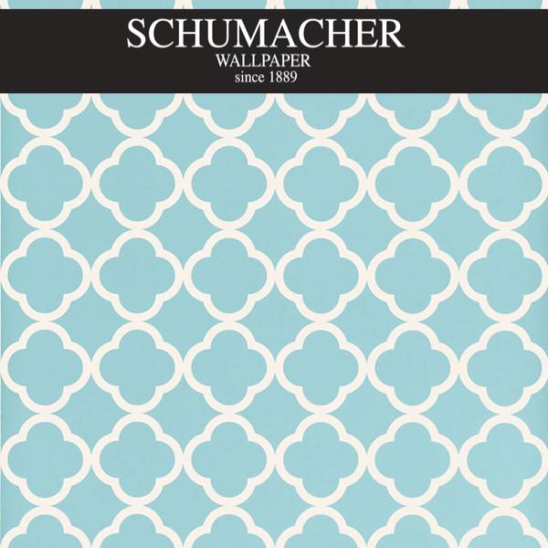 Authorized Dealer of 5005875 by Schumacher Wallpaper at Designer Wallpapers and Fabrics, Your online resource since 2007