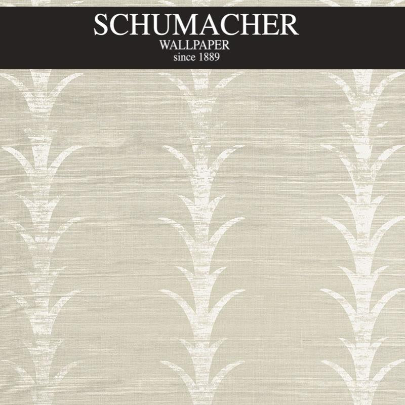 Authorized Dealer of 5006052 by Schumacher Wallpaper at Designer Wallpapers and Fabrics, Your online resource since 2007
