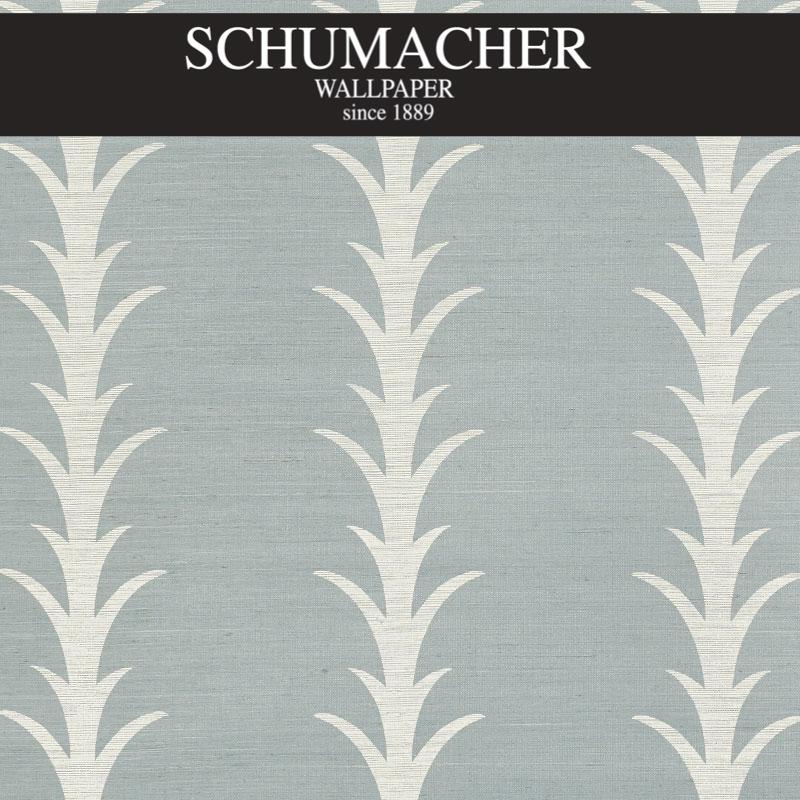 Authorized Dealer of 5006056 by Schumacher Wallpaper at Designer Wallpapers and Fabrics, Your online resource since 2007
