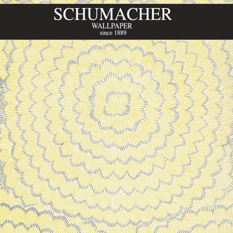 Authorized Dealer of 5006077 by Schumacher Wallpaper at Designer Wallpapers and Fabrics, Your online resource since 2007