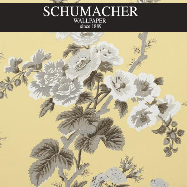 Authorized Dealer of 5006925 by Schumacher Wallpaper at Designer Wallpapers and Fabrics, Your online resource since 2007