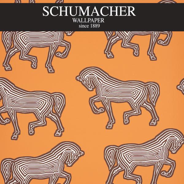 Authorized Dealer of 5007091 by Schumacher Wallpaper at Designer Wallpapers and Fabrics, Your online resource since 2007