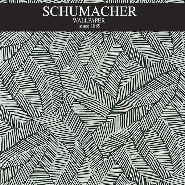Authorized Dealer of 5007534 by Schumacher Wallpaper at Designer Wallpapers and Fabrics, Your online resource since 2007