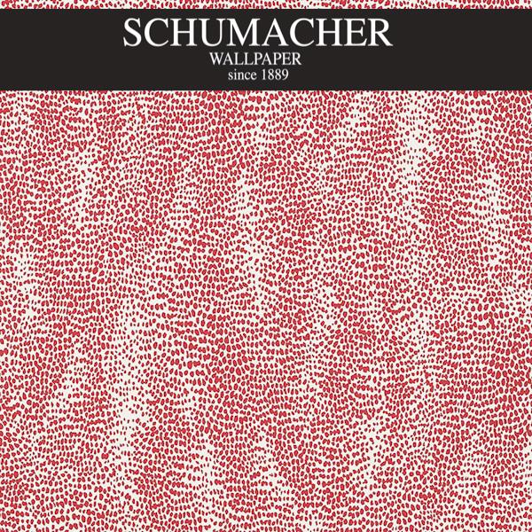 Authorized Dealer of 5007572 by Schumacher Wallpaper at Designer Wallpapers and Fabrics, Your online resource since 2007