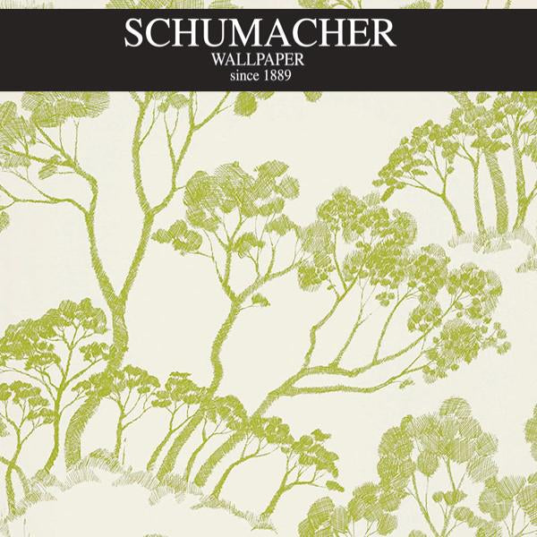 Authorized Dealer of 5007981 by Schumacher Wallpaper at Designer Wallpapers and Fabrics, Your online resource since 2007