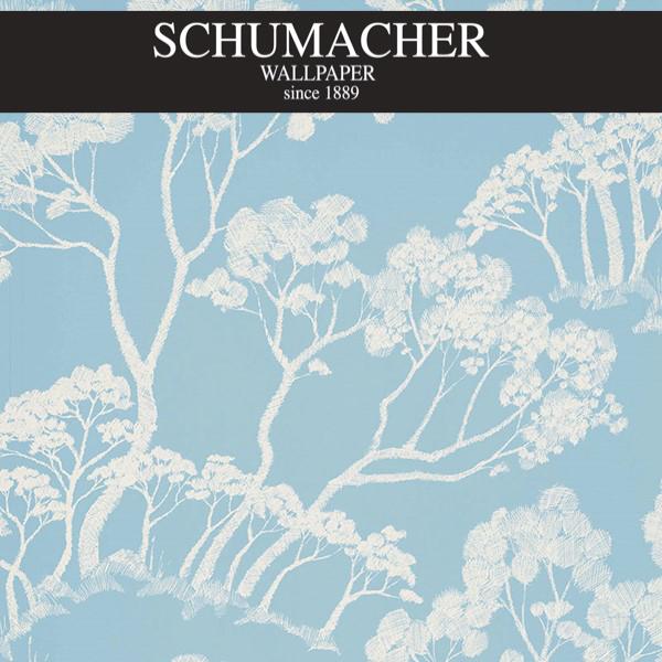Authorized Dealer of 5007982 by Schumacher Wallpaper at Designer Wallpapers and Fabrics, Your online resource since 2007