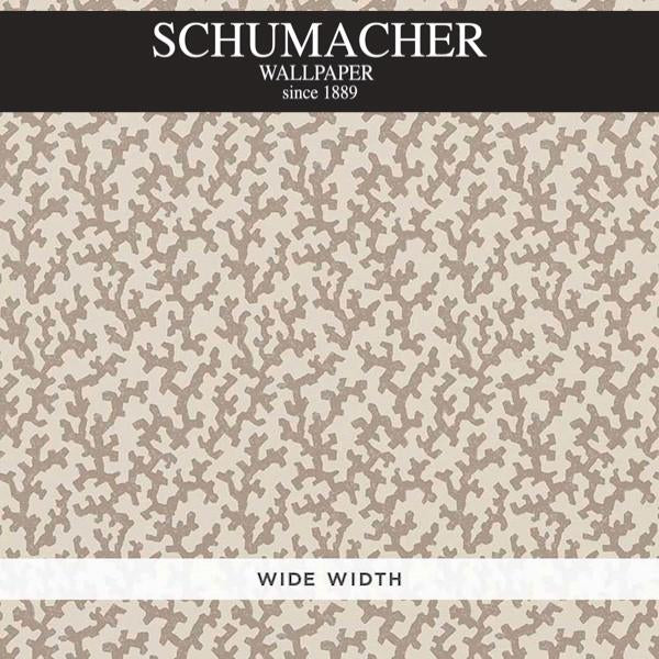 Authorized Dealer of 5008000 by Schumacher Wallpaper at Designer Wallpapers and Fabrics, Your online resource since 2007