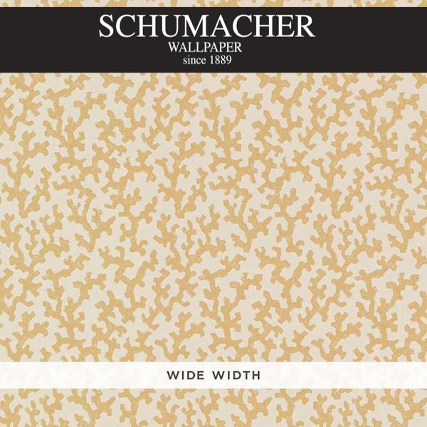 Authorized Dealer of 5008002 by Schumacher Wallpaper at Designer Wallpapers and Fabrics, Your online resource since 2007