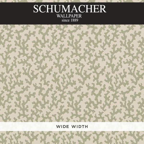 Authorized Dealer of 5008003 by Schumacher Wallpaper at Designer Wallpapers and Fabrics, Your online resource since 2007