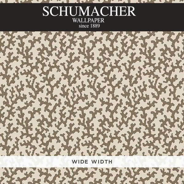 Authorized Dealer of 5008006 by Schumacher Wallpaper at Designer Wallpapers and Fabrics, Your online resource since 2007