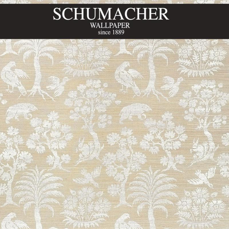 Authorized Dealer of 5008281 by Schumacher Wallpaper at Designer Wallpapers and Fabrics, Your online resource since 2007