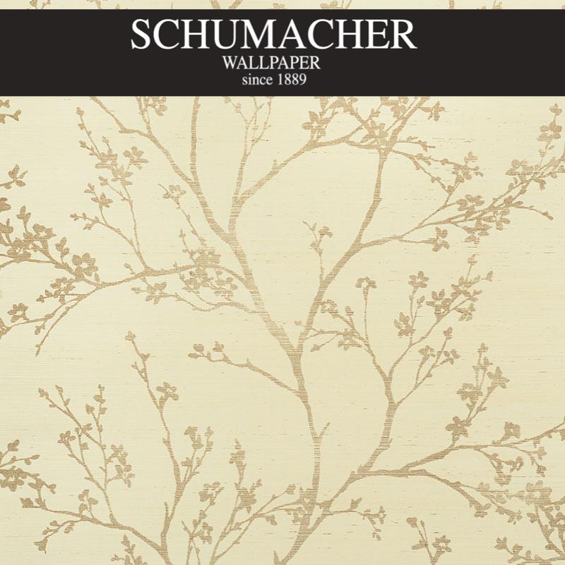 Authorized Dealer of 5008290 by Schumacher Wallpaper at Designer Wallpapers and Fabrics, Your online resource since 2007