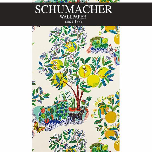 Authorized Dealer of 5008410 by Schumacher Wallpaper at Designer Wallpapers and Fabrics, Your online resource since 2007