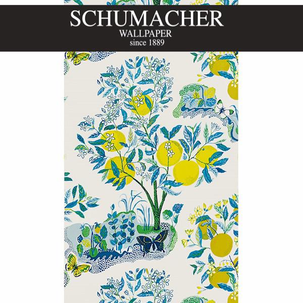 Authorized Dealer of 5008411 by Schumacher Wallpaper at Designer Wallpapers and Fabrics, Your online resource since 2007