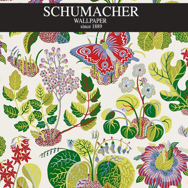 Authorized Dealer of 5008421 by Schumacher Wallpaper at Designer Wallpapers and Fabrics, Your online resource since 2007
