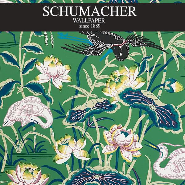 Authorized Dealer of 5008430 by Schumacher Wallpaper at Designer Wallpapers and Fabrics, Your online resource since 2007