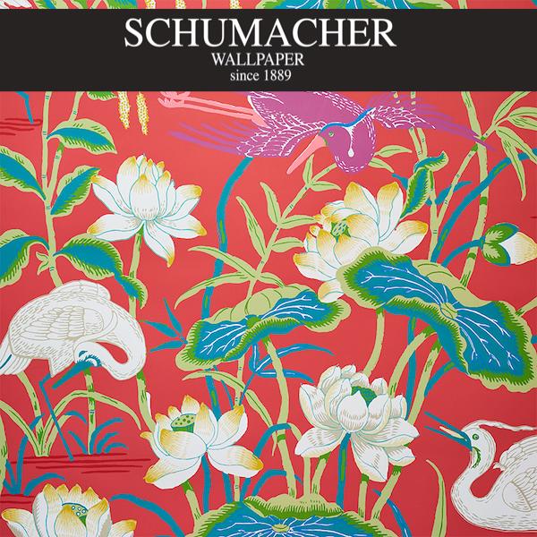 Authorized Dealer of 5008434 by Schumacher Wallpaper at Designer Wallpapers and Fabrics, Your online resource since 2007