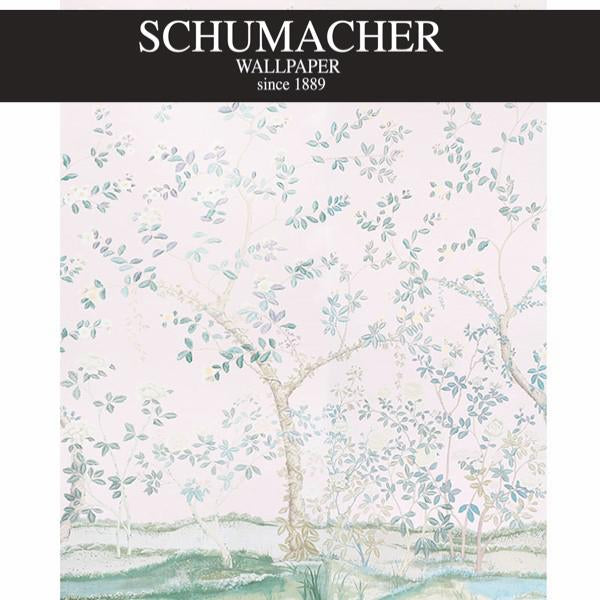 Authorized Dealer of 5008542 by Schumacher Wallpaper at Designer Wallpapers and Fabrics, Your online resource since 2007