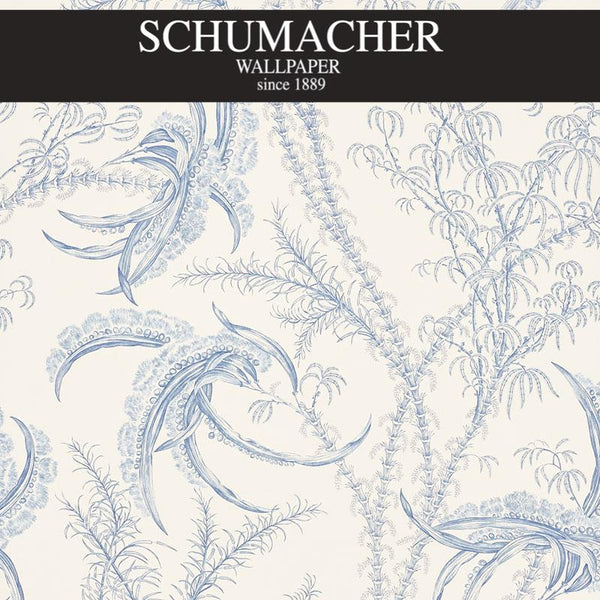 Authorized Dealer of 5008720 by Schumacher Wallpaper at Designer Wallpapers and Fabrics, Your online resource since 2007