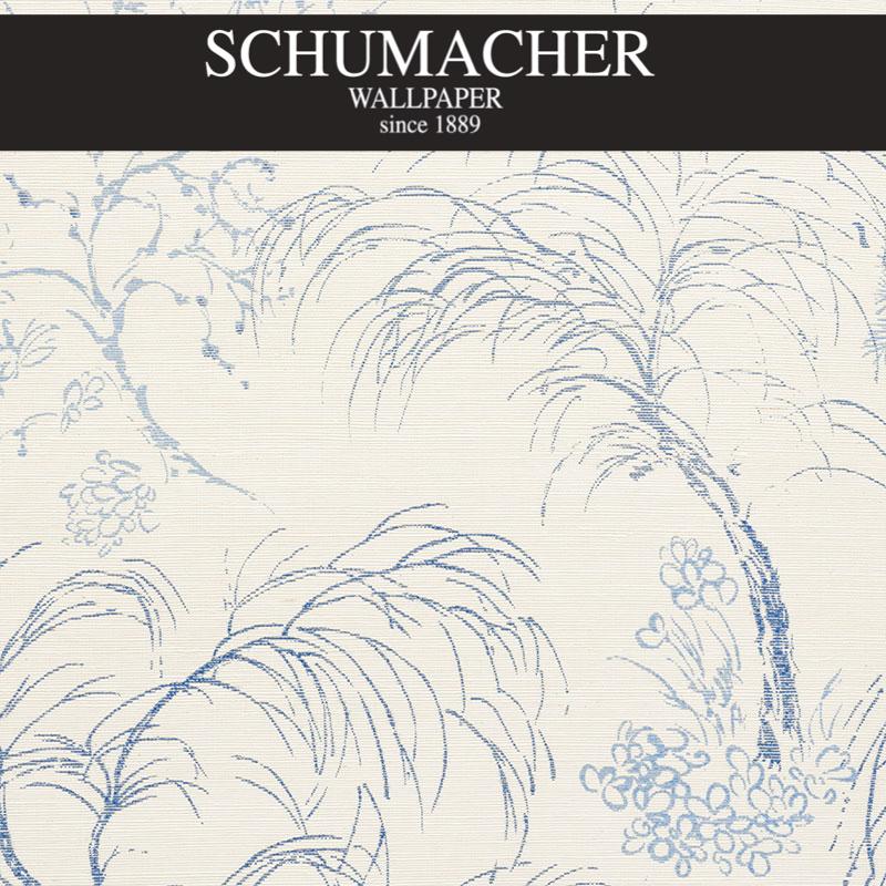 Authorized Dealer of 5008750 by Schumacher Wallpaper at Designer Wallpapers and Fabrics, Your online resource since 2007
