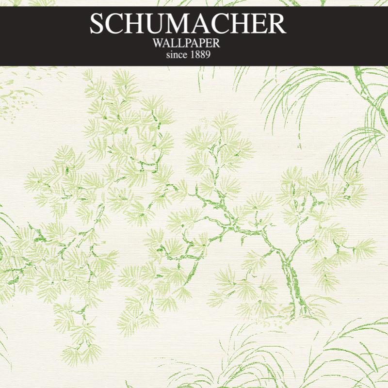Authorized Dealer of 5008751 by Schumacher Wallpaper at Designer Wallpapers and Fabrics, Your online resource since 2007