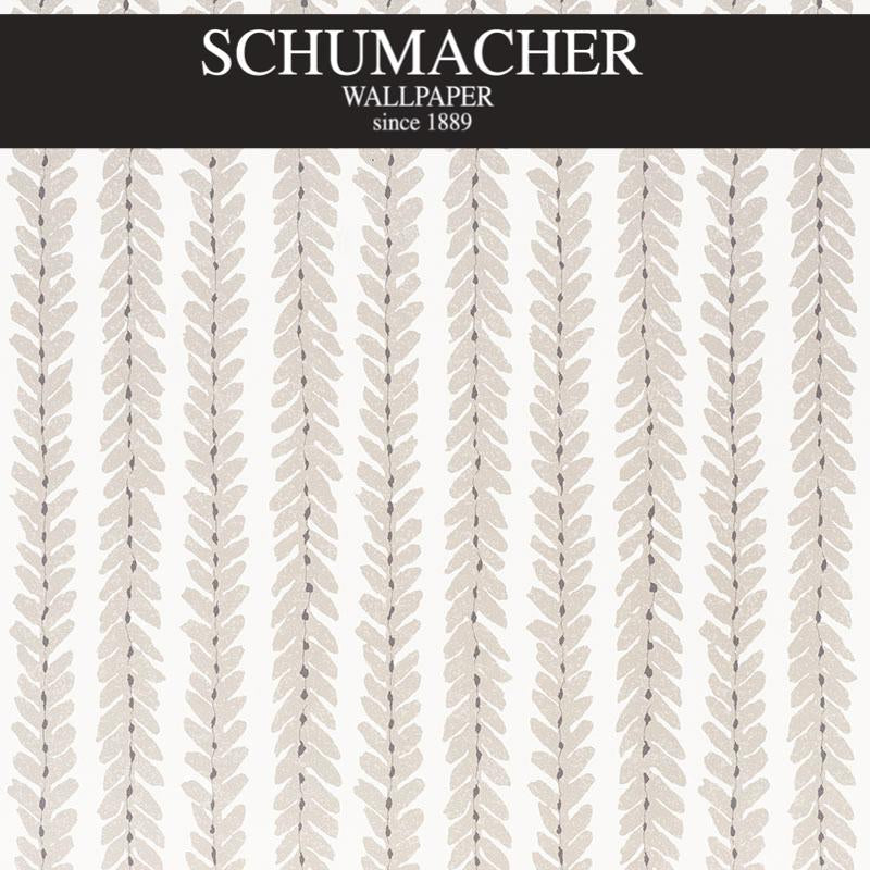 Authorized Dealer of 5008790 by Schumacher Wallpaper at Designer Wallpapers and Fabrics, Your online resource since 2007