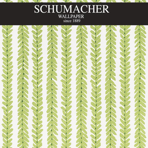 Authorized Dealer of 5008791 by Schumacher Wallpaper at Designer Wallpapers and Fabrics, Your online resource since 2007