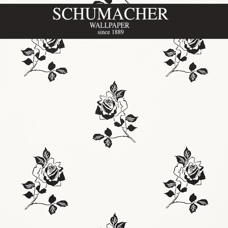 Authorized Dealer of 5008830 by Schumacher Wallpaper at Designer Wallpapers and Fabrics, Your online resource since 2007