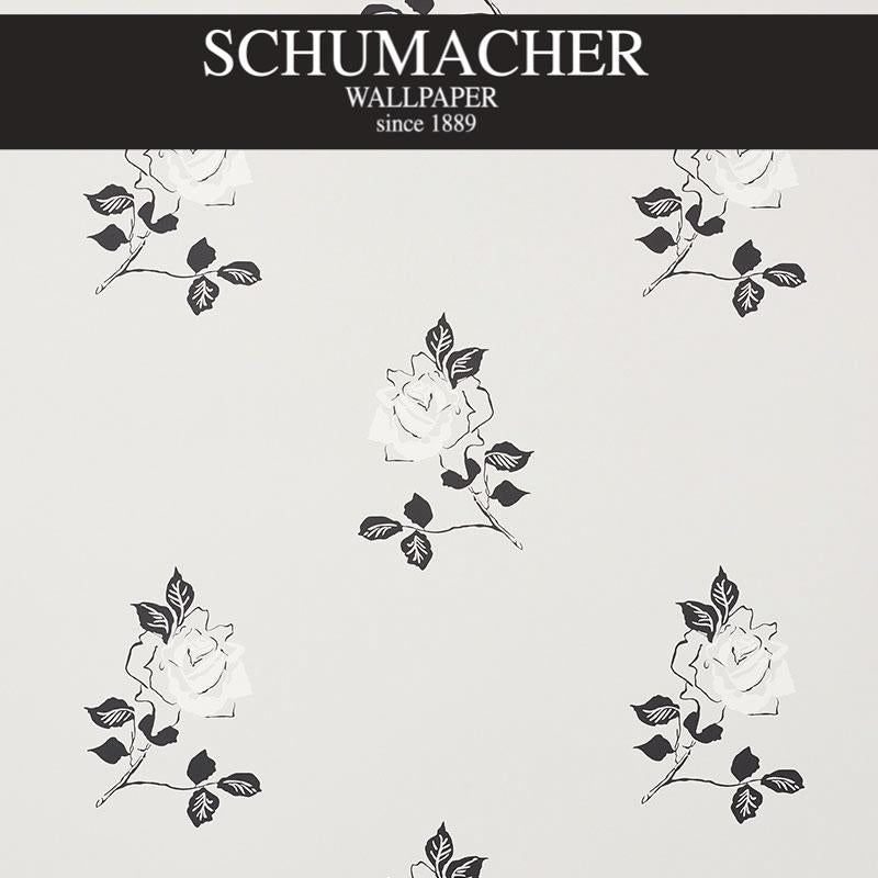 Authorized Dealer of 5008831 by Schumacher Wallpaper at Designer Wallpapers and Fabrics, Your online resource since 2007