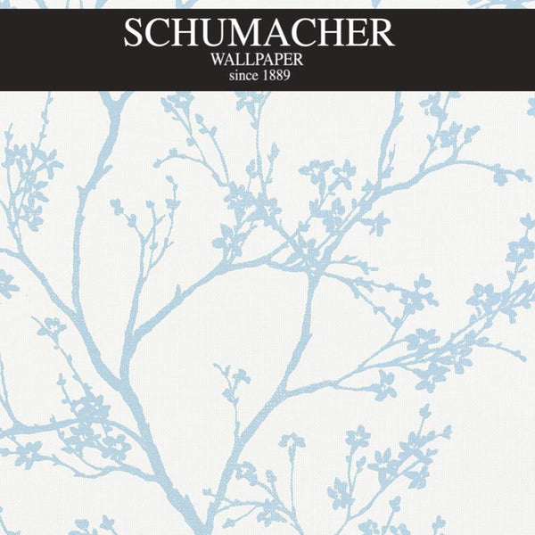 Authorized Dealer of 5008940 by Schumacher Wallpaper at Designer Wallpapers and Fabrics, Your online resource since 2007