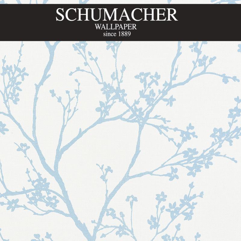 Authorized Dealer of 5008940 by Schumacher Wallpaper at Designer Wallpapers and Fabrics, Your online resource since 2007