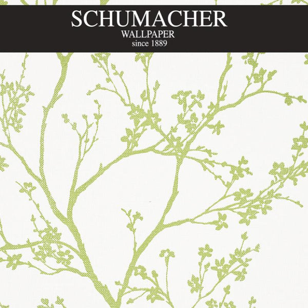 Authorized Dealer of 5008941 by Schumacher Wallpaper at Designer Wallpapers and Fabrics, Your online resource since 2007